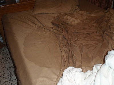 SMALL wet bed 1.jpg