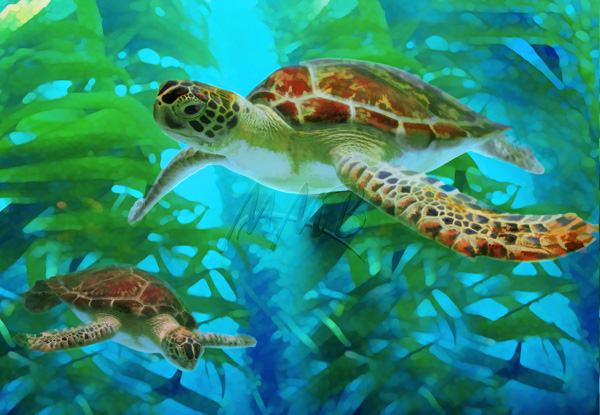 green-sea-turtles.jpg