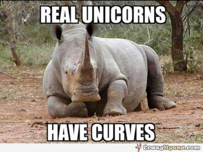 funny-rhino-captions-unicorns-ha