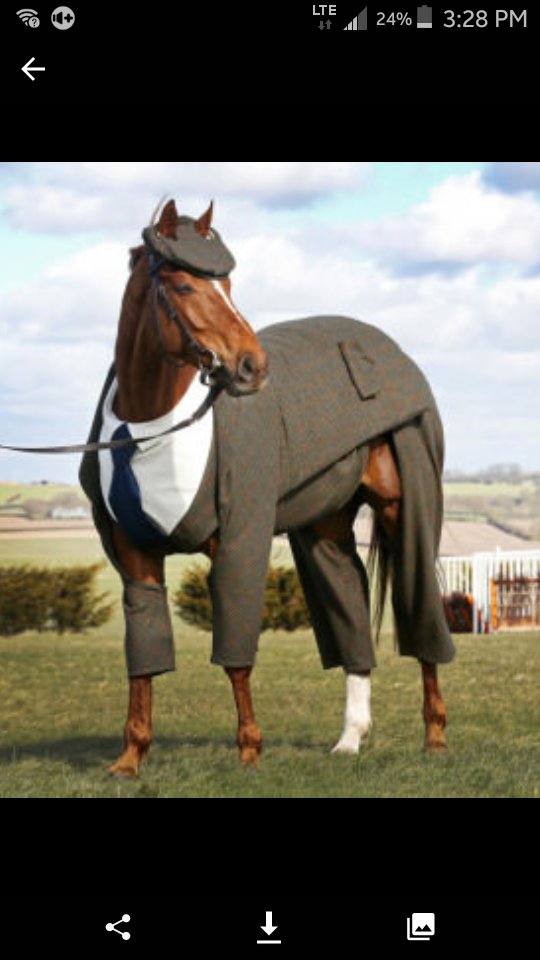 horse_classy.png