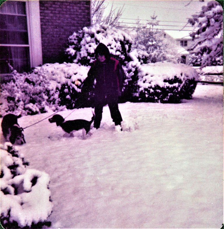 Bunky age 11 snow beagles 2 (2).