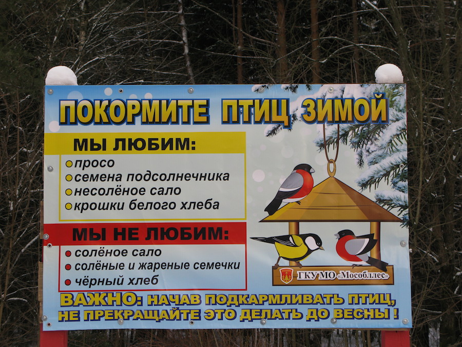 IMG_3972-покормите птиц зимой-плакат.JPG