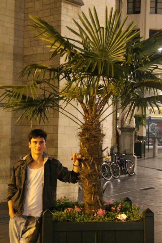 Alex hat in Belgien eine Palme g