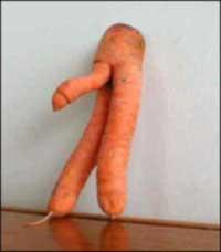 funny_carrot.jpg