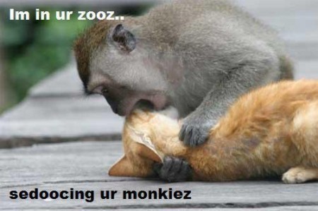 monkeyseducer.jpg