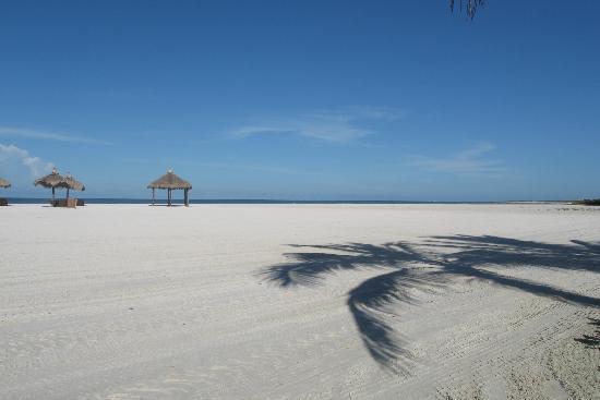 Beach of Marco Island.jpg
