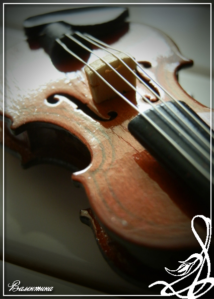 скрипка12.jpg