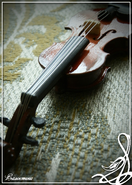 скрипка3.jpg