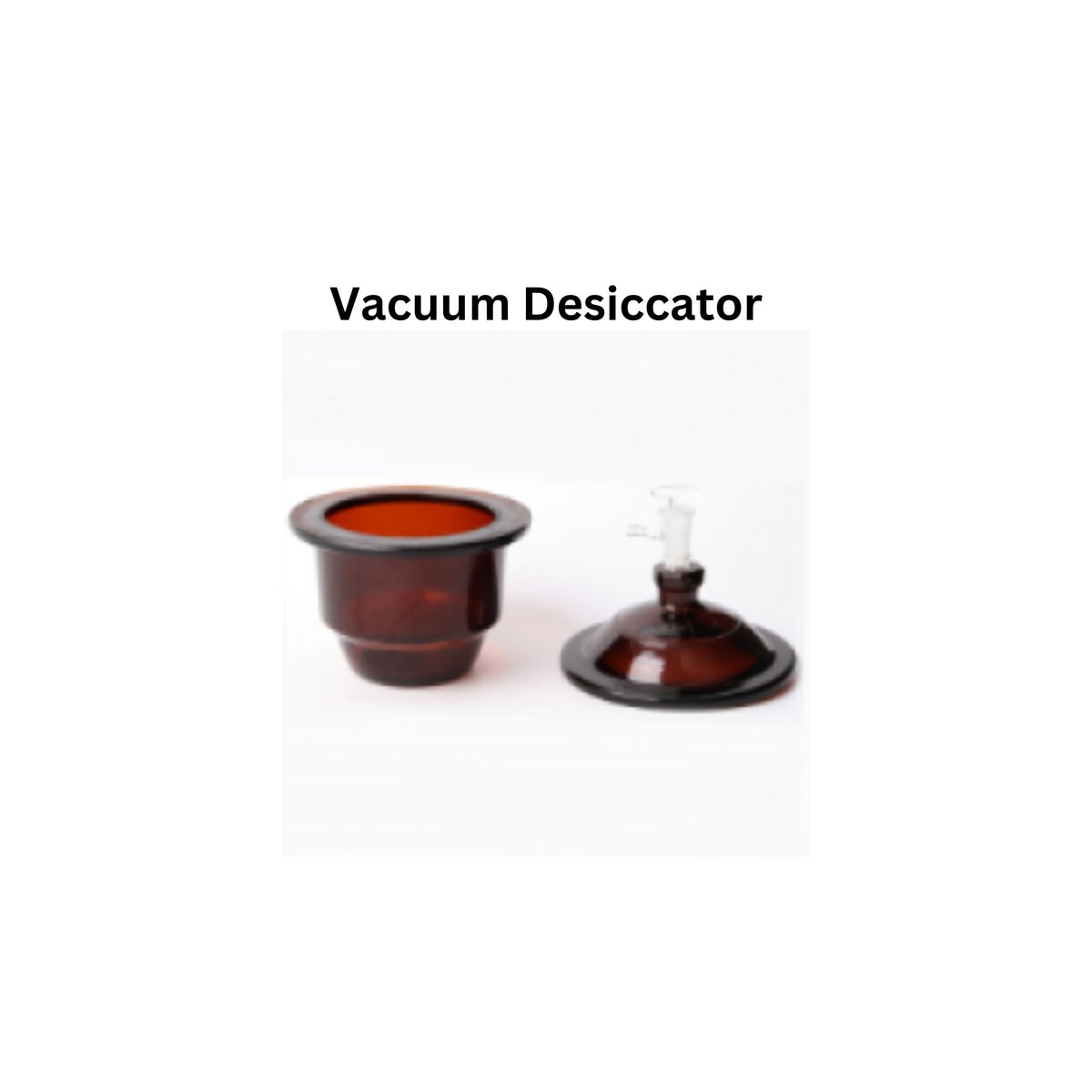 Vacuum Desiccator.jpg