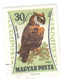 Briefmarke Ungarn eulen 1981