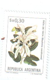 Briefmarke Argentinien Pflanzen.