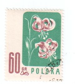 Polen1.jpg1957
