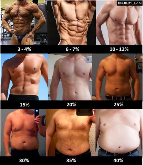 Процент жира мужчины.jpg