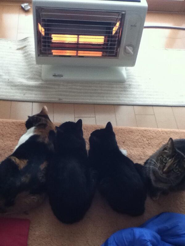 Cats heater - 02.jpg