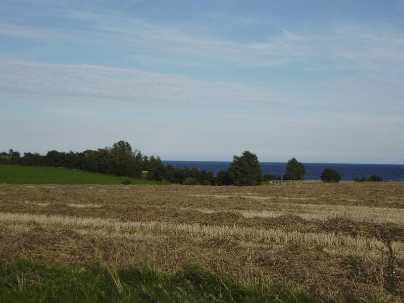 landscape - Denmark.jpg