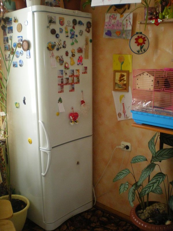 Холодильник "Indesit".