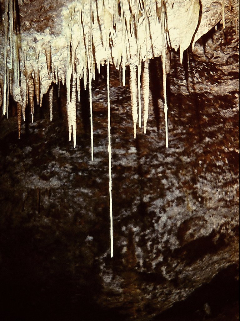 Трубчатые сталактиты до 70 см