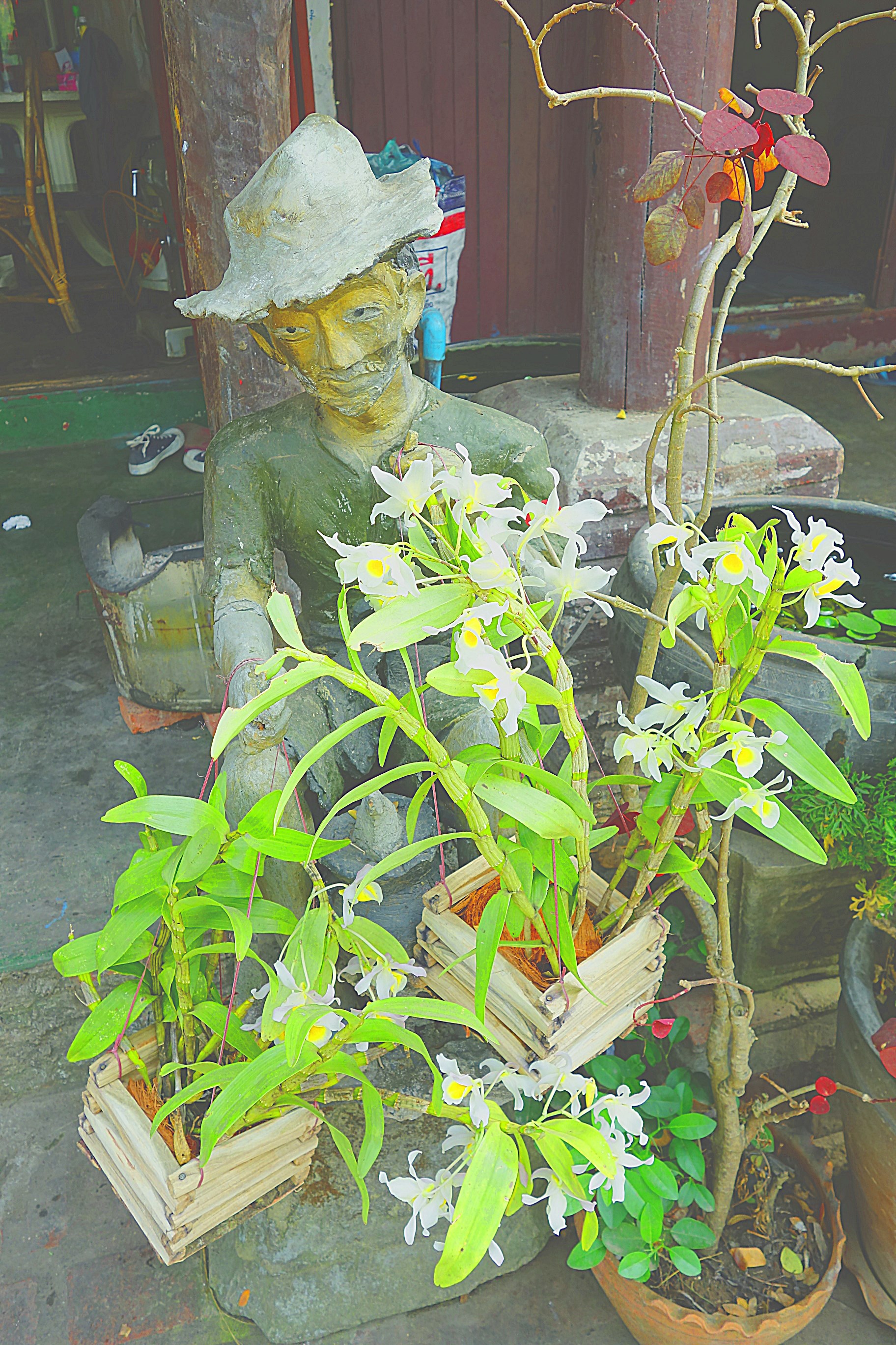 Манекен с цветами на улице Луанг