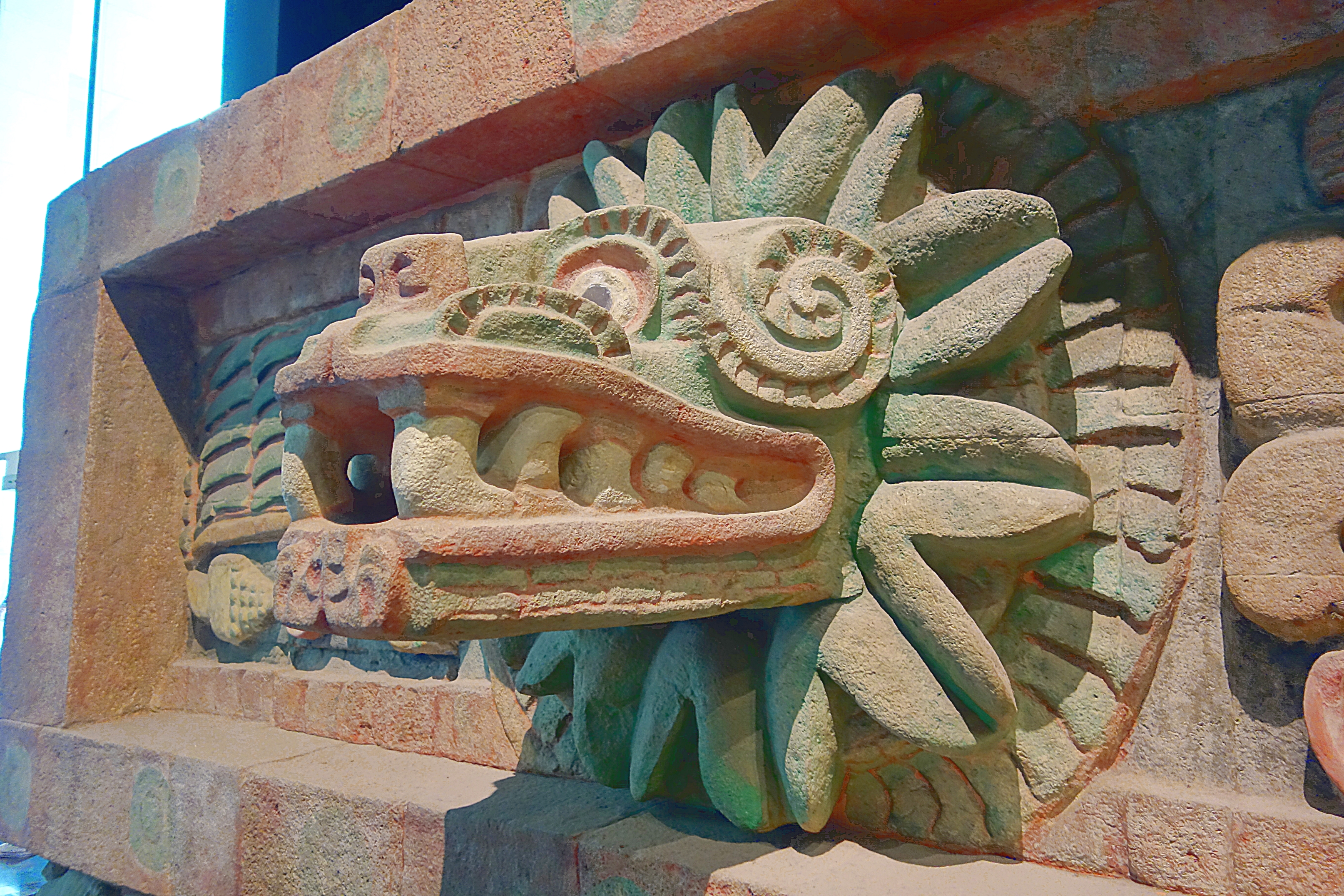 Голова дракона в Музее этнологии