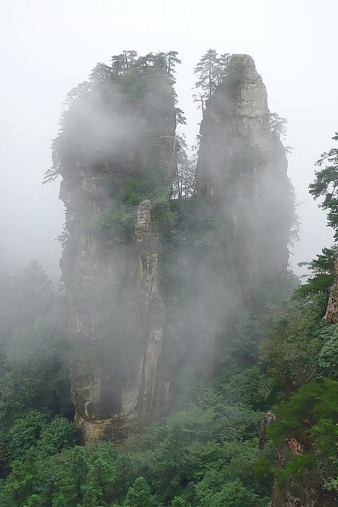 Скалы в тумане