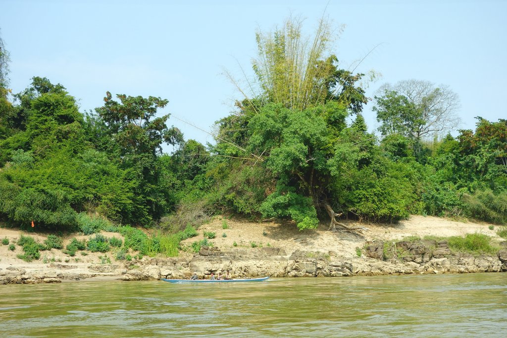 Джунгли на берегу Меконга