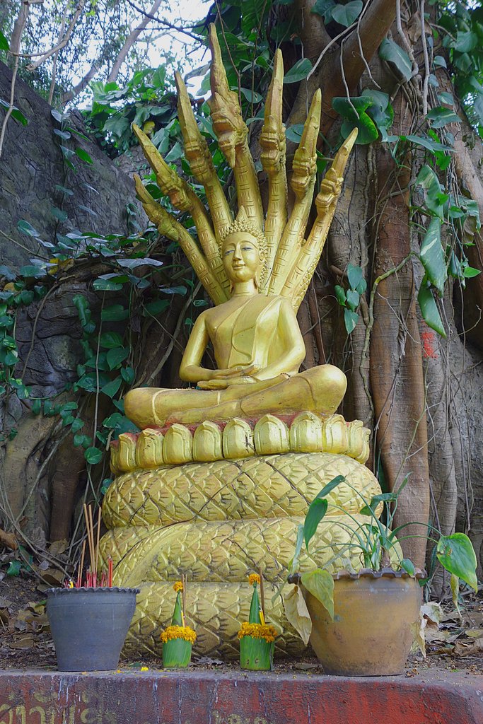 Сидящий Будда по дороге к Ступе