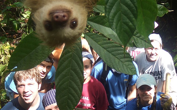 funny picture-sloth photobomb.jp