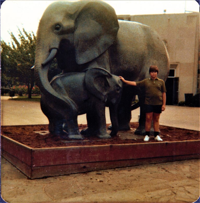 Bunky Age 14 Elephant Phila Zoo.