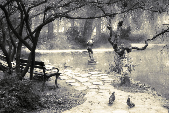 Budapest - pond_and_two_pigeons_