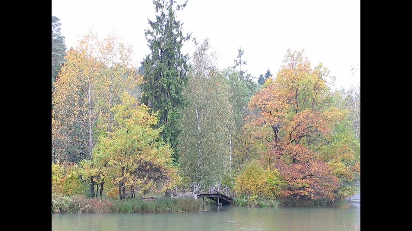 2013-09-16-в лесу-красиво-дождик-вид на усадьбу----.png