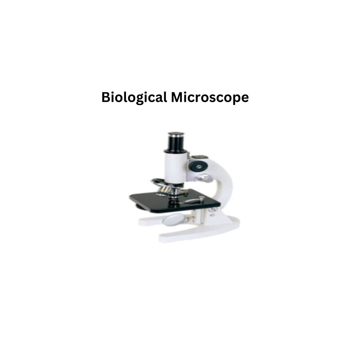 Biological Microscope.jpg