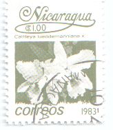 nicaragua3.jpg