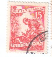 Jugoslavija3.jpg1952