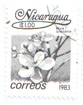 nicaragua1.jpg