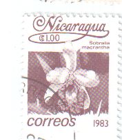 nicaragua.jpg