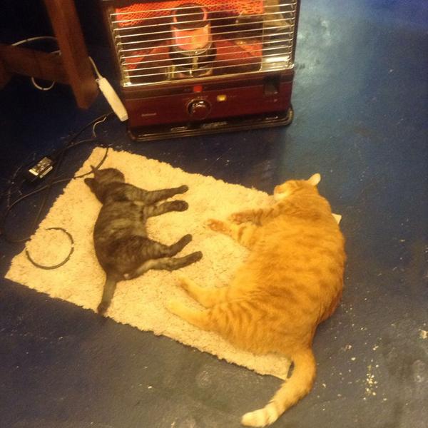 Cats heater - 01.jpg
