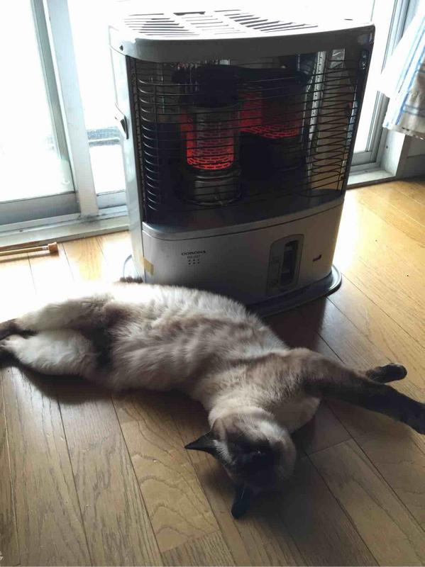 Cats heater - 04.jpg