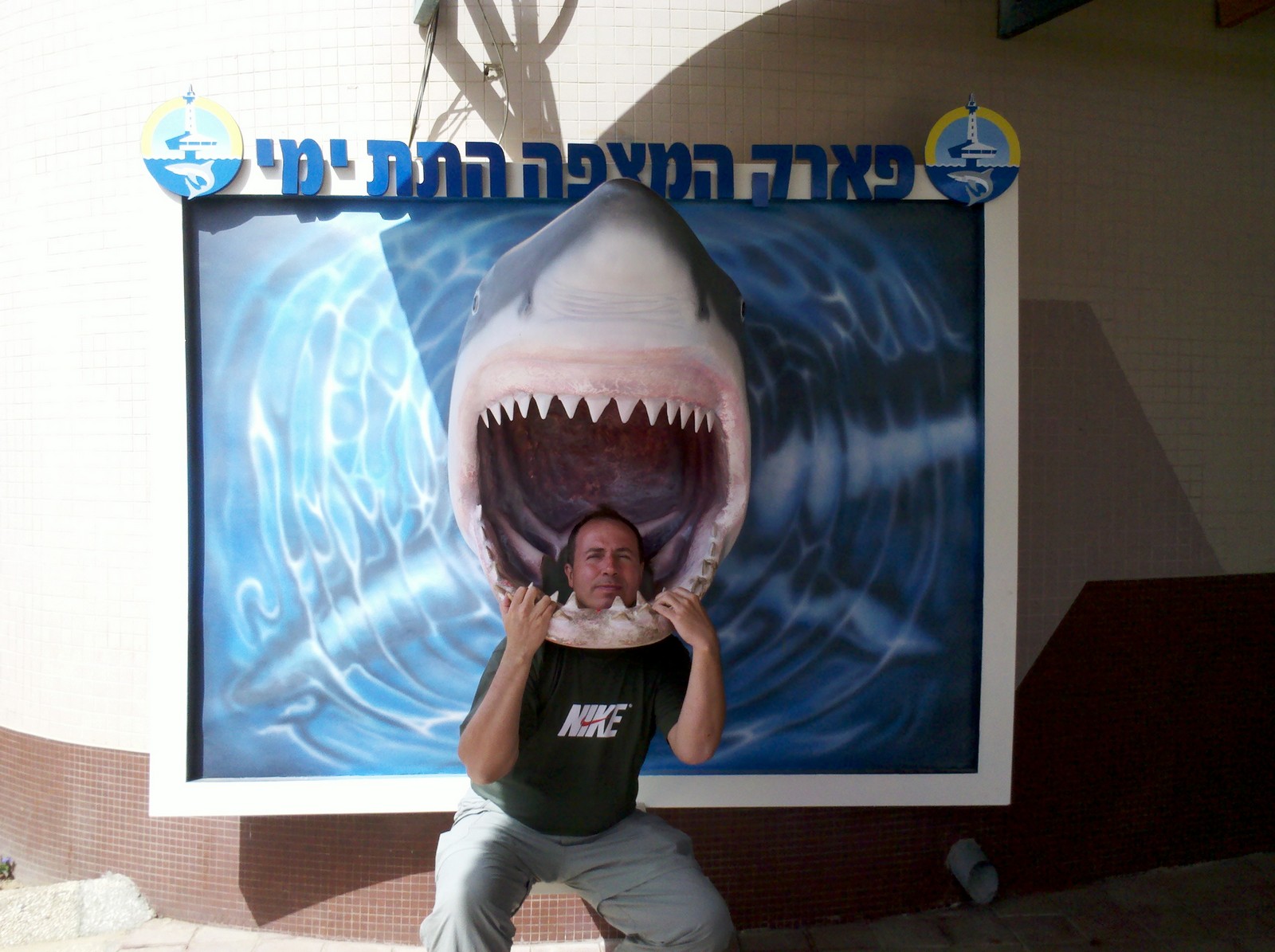 45 Меня укусила акула. 2012-05-2