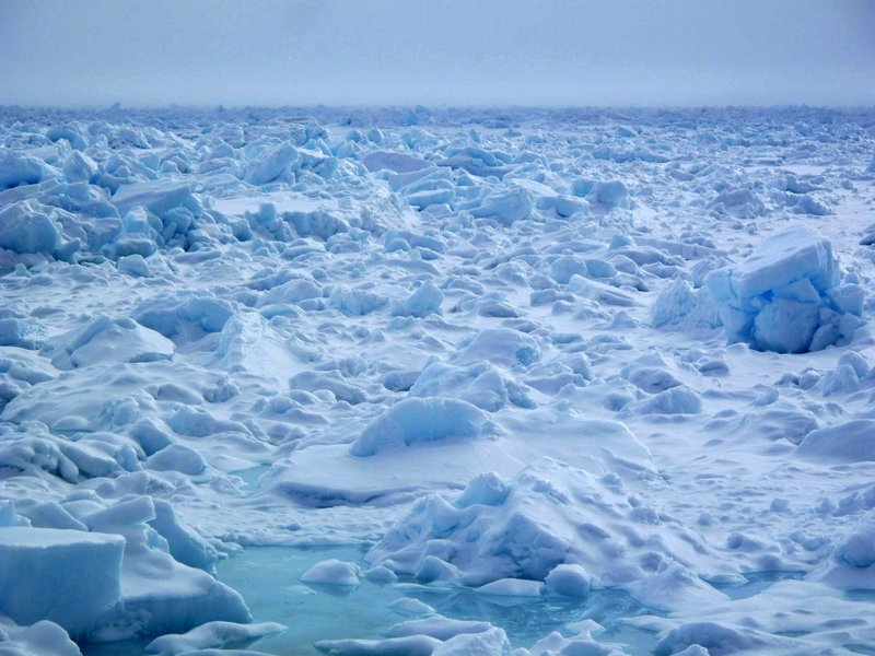 2. sea ice.jpg