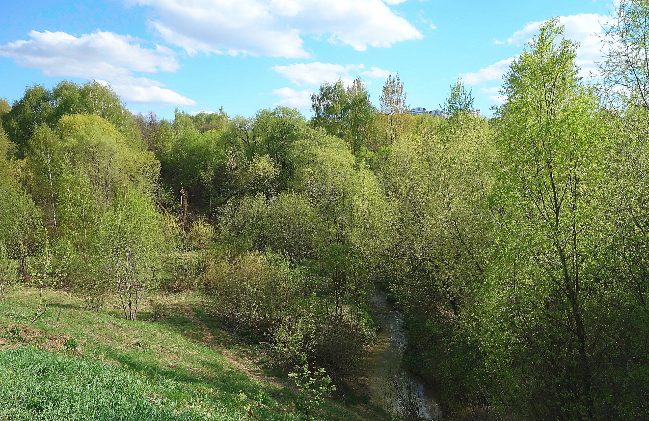 Долина реки Раменки в парке