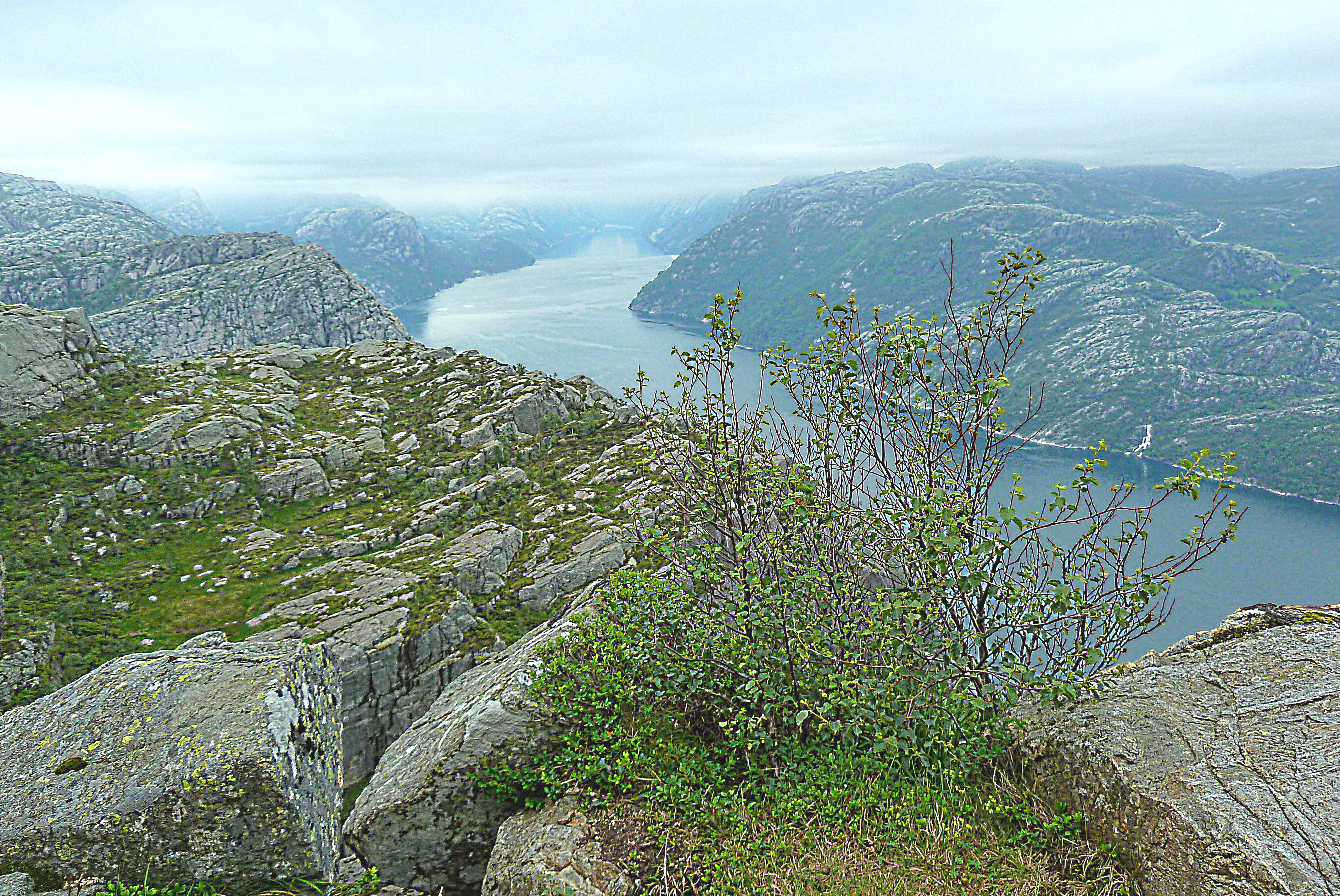 Люсефьорд на юге Норвегии