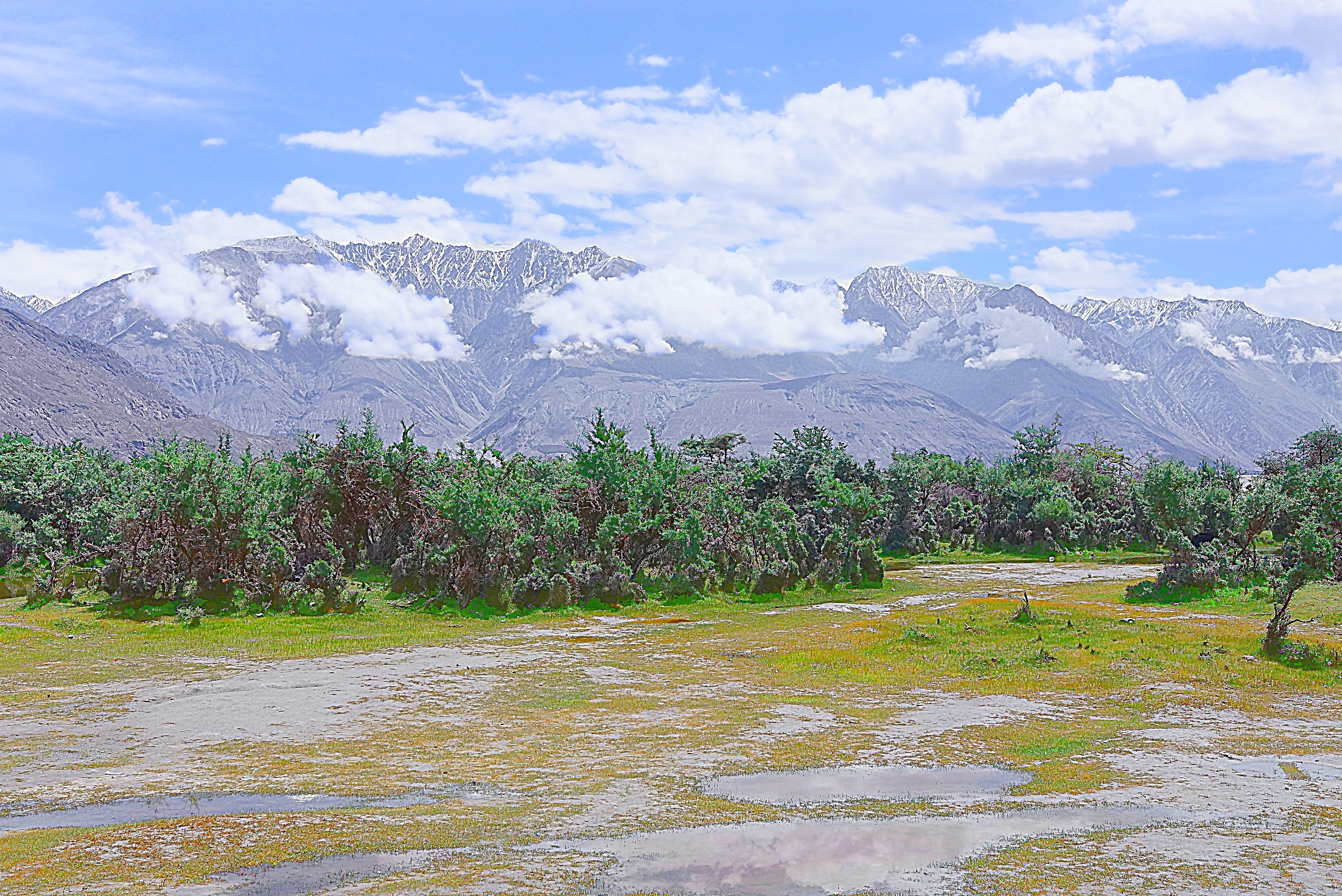 Долина Нубра. Вид на Каракорум.
