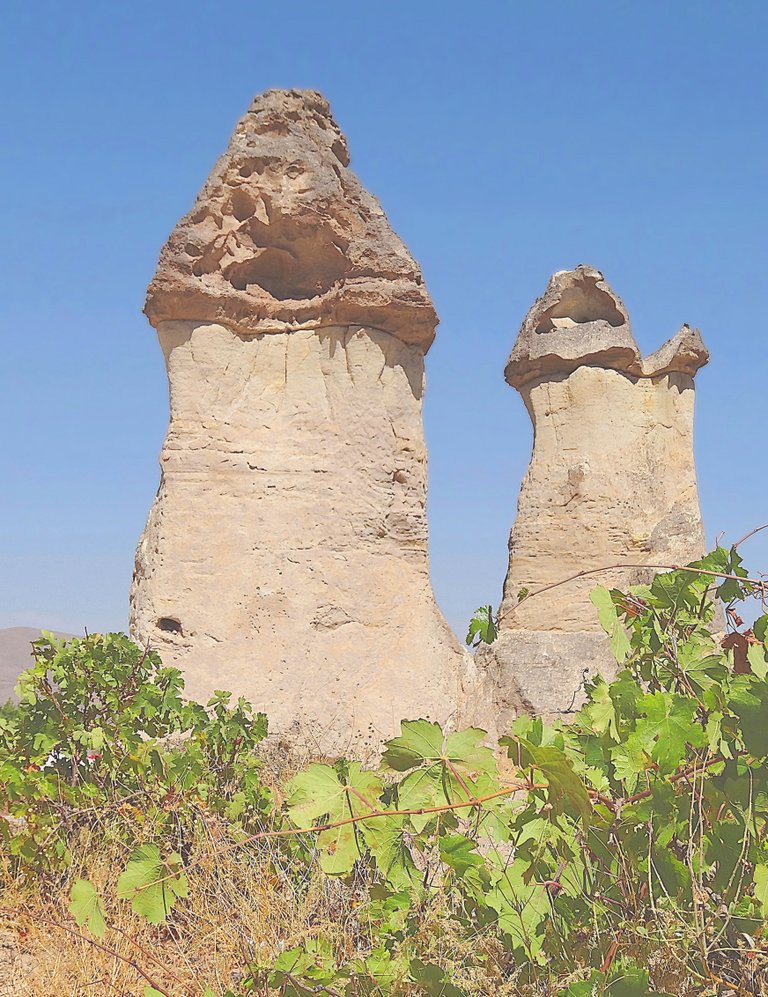 Каменные грибы в  Монаховой долине
