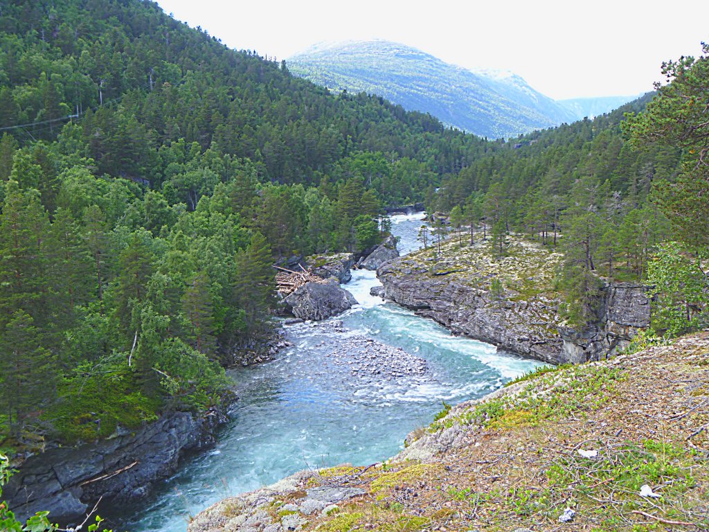 Горная река в Ц.Норвегии