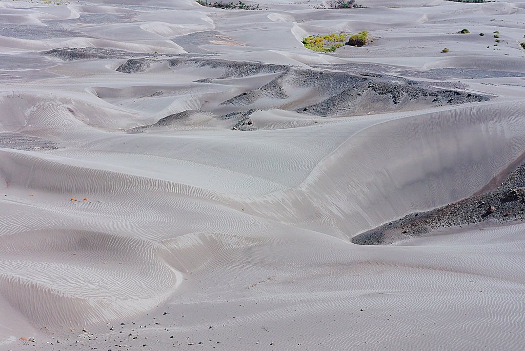 Песчаные барханы в долине Нубра